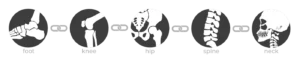 biokinetic-chain-no-title-white
